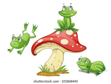 Illustration of 3 frogs on a mushroom