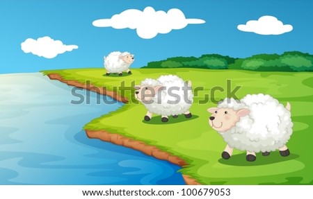 Sheep on the mountain pasture