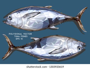 Illustration 3d low polygon drawing of tuna fishes.