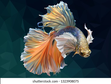 Illustration 3d low polygon drawing of betta siamese fighting fish.