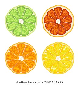 Illustration of 4 different colored orange fruits, cut in half, isolated oranges on a white background. Seasonal fruits. Tropical. Isolated image, flat vector illustration.