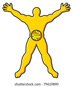 illustration of abdomen