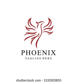 Illustration abstract animal Phoenix bird luxury Vector logo template