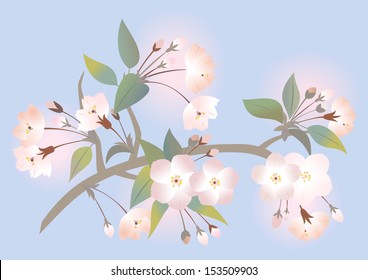 Illustration of abstract apple tree branch with background
