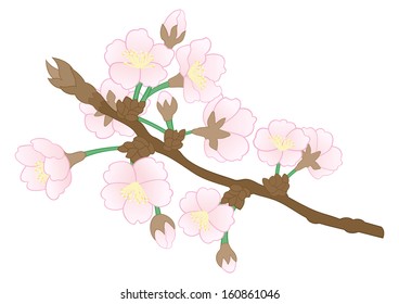 Illustration of abstract apple tree branch isolated