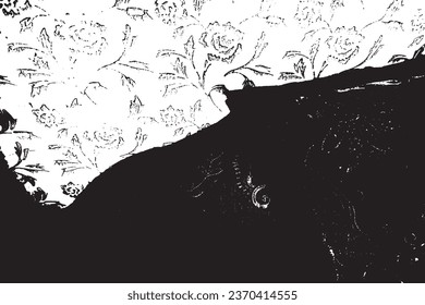 illustration of Abstract background Monochrome texture Image includes a effect the black and white tonesa