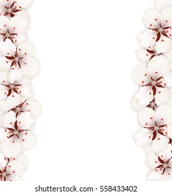 Illustration Abstract Border Made in Cherry Blossom. Layout, Card, Template, Sakura, Japan, Invitation - Vector