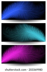 Illustration of abstract colorful feather banners collection 