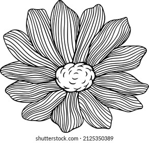 Illustration of abstract flower. Line art. Eps 10
