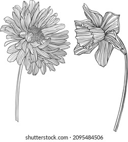 Illustration of abstract flowers. Line vector art