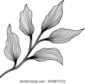 Ilustración de hojas abstractas. Arte vectorial de línea