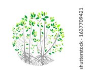 illustration of abstract logo design and tree roots vector illustration