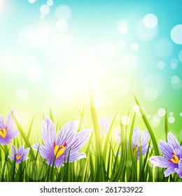 Illustration of Abstract Natural Background With Crocus Flowers, Copyspace