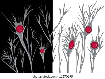 illustration of abstract plant