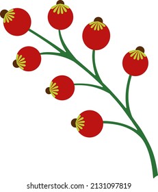 Illustration of abstract red berries on a white background. Vector stylized flowers in cartoon style.Vector illustration for greetings, weddings, flower design.