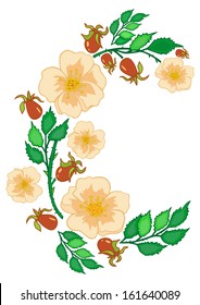 Illustration of abstract tea roses frame isolated