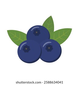 An illustration of abundantly ripened blueberries