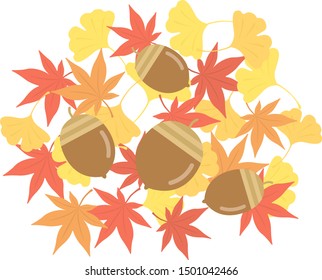 Illustration of Acorn.
Autumn illustration.