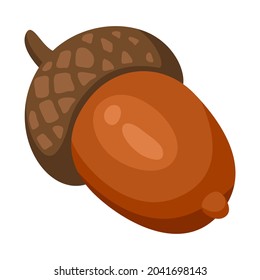 Illustration of acorn. Decorative autumn plant. Nature item.