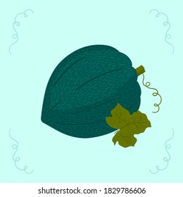 An Illustration Of Acorn Squash. Hand-drawn Vector Pumpkin With Texture.