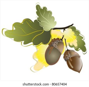 Illustration  acorns.