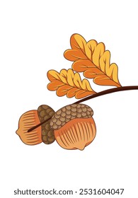 Illustration of acorns with leaves isolated on a white background