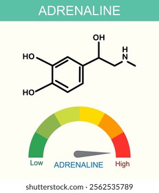 Illustration of adrenaline molecule and level indicator