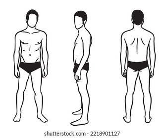Illustration adult man wearing underwear in front, side and back poses. Vector drawing isolated on white background.