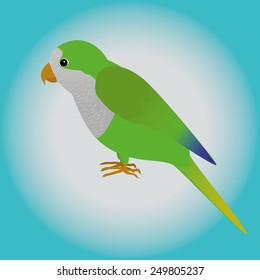 An illustration af a parrot