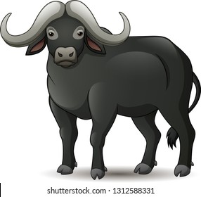 Illustration of African buffalo isolated on white background 