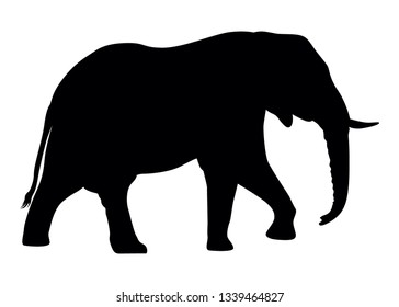 illustration of African elephant silhouette