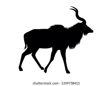 16,096 Kudu Images, Stock Photos & Vectors | Shutterstock