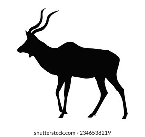 ilustración de la silueta kudu africana en estado salvaje.