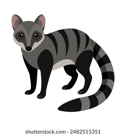 illustration of a african palm civet