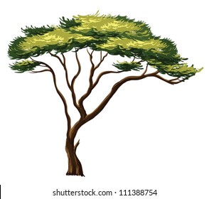 Illustration Of An African Tree