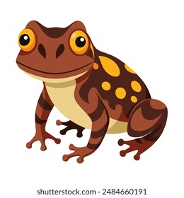 Illustration of African tree toad on white