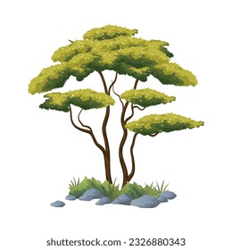 illustration of african tree vector with white background