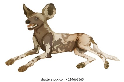 Illustration of an African wild dog (Lycaon pictus)