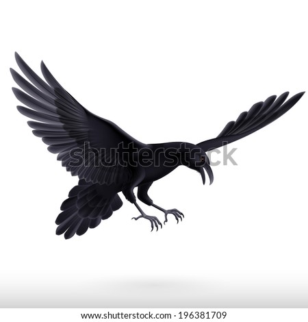 Illustration of aggressive black raven isolated on white background 
