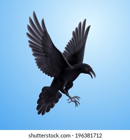 Illustration of aggressive black raven on blue sky background 
