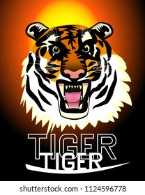 Illustration of an aggressive tiger muzzle at sunset. Vector.