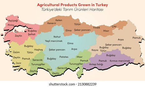 Illustration Of Agricultural Products Grown In Turkey.