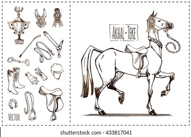 illustration of Akhal-Teke horse, sketches equipment. posters to the races and exhibitions. isolated vector. vintage. Design sketch books and notepads