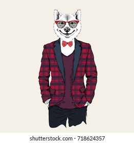 Illustration of akita inu dog hipster dressed up in jacket, pants and sweater. Vector illustration