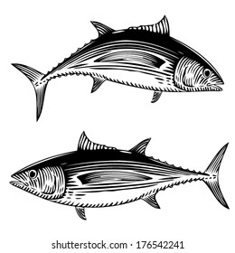Illustration Of A Albacore Tuna