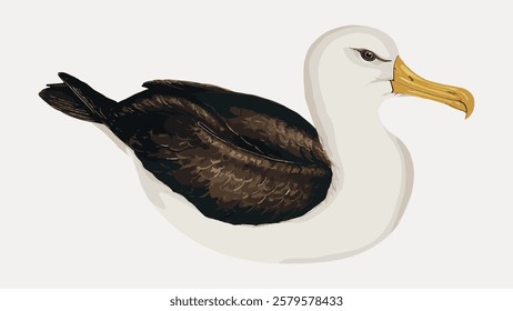 Illustration of an albatross with a white body and dark wings. The albatross features a prominent yellow beak. Albatross depicted in a side view. Vintage bird illustration vector.