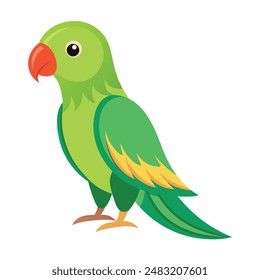 illustration of Alexandrine parakeet Bird 