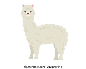 Illustration of an alpaca of an animal.