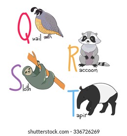 Illustration of alphabet animals  - quail, raccoon, sloth, tapir