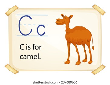 Abbildung des Alphabets C ist für Kamel